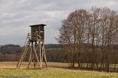 Hochstände (142 von 154).jpg